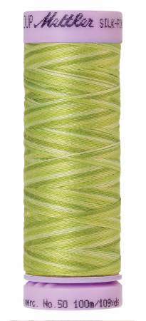 Fil de coton mercerisé Mettler Silk-Finish 50, couleur dégradée, 100 m, petits becs verseurs