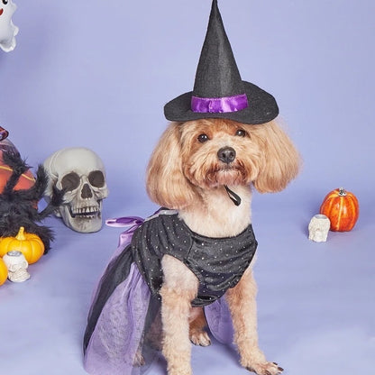 Robe de chien chapeau de sorcière | Costume d'Halloween