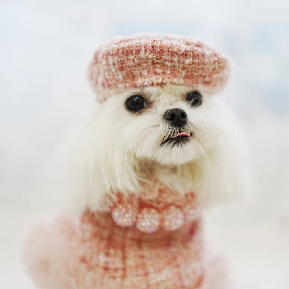 Ensemble pour chien Missy Baby en tweed | Tenue classique coordonnée pour chien