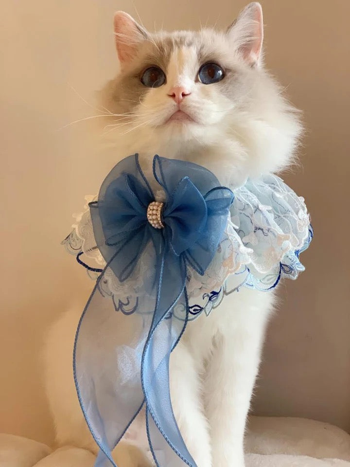 Bandana Cassiopée