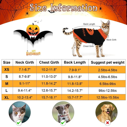 Pull pour chien citrouille | Costume d'Halloween pour chien