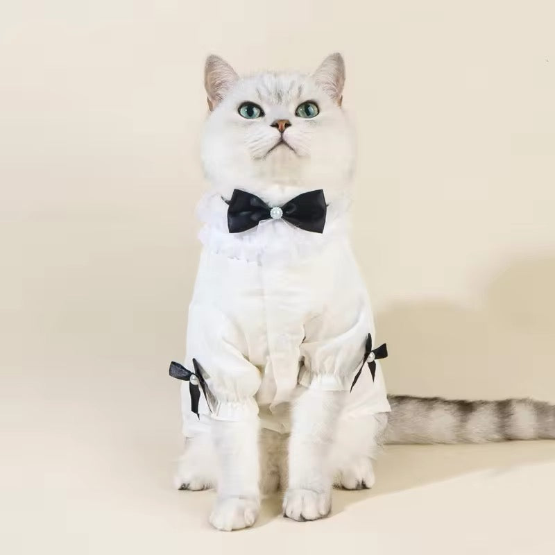 Ensemble chemise et nœud Charlise pour chiens – Tenue élégante pour chien