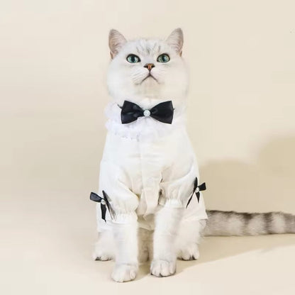 Ensemble chemise et nœud Charlise pour chiens – Tenue élégante pour chien