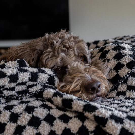 Tap Shoe & Rainy Day Check Print Extended Throw