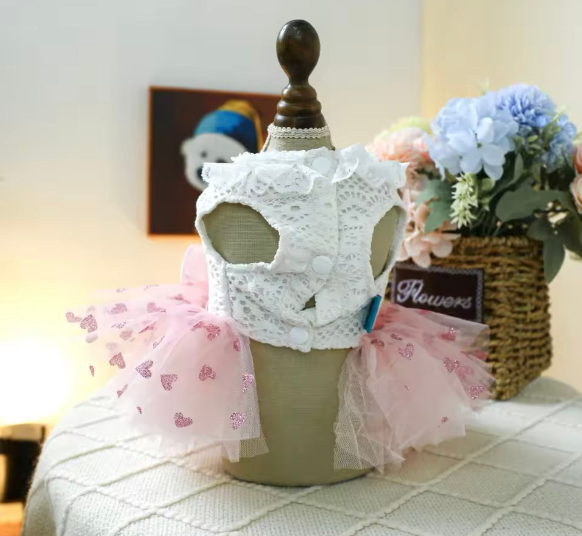 Robe pour chien Laura | Robe de créateur pour petits chiens