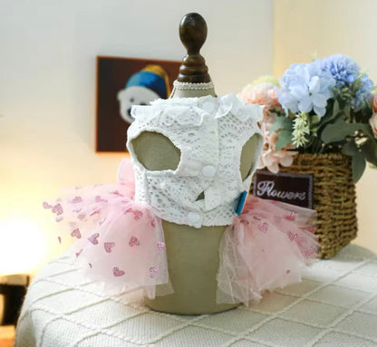 Robe pour chien Laura | Robe de créateur pour petits chiens