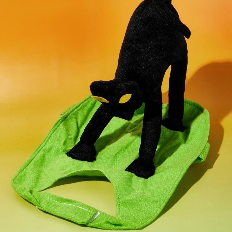 Un déguisement d'Halloween pour chien chat peureux