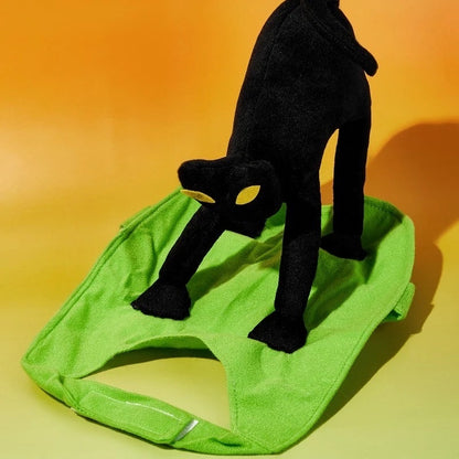 Un déguisement d'Halloween pour chien chat peureux
