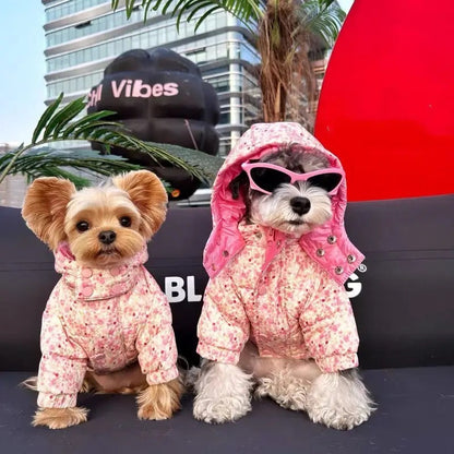 Veste de printemps