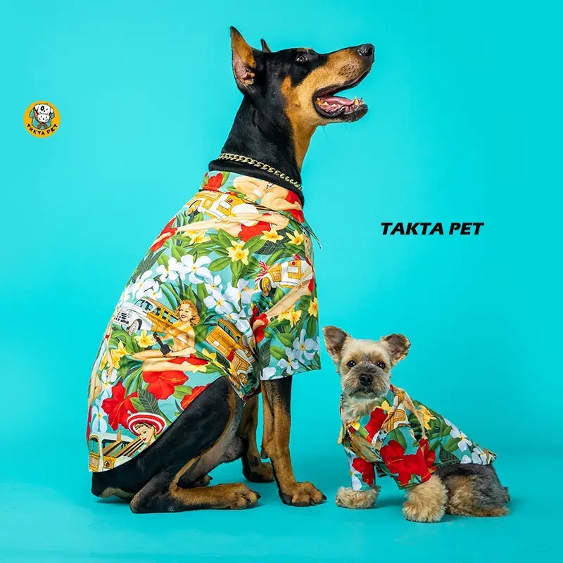Chemise Takta