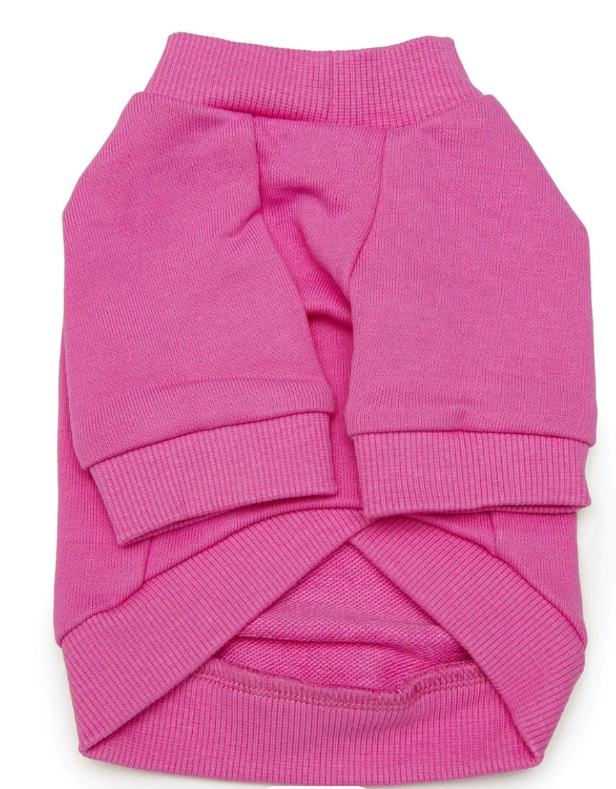 Pull pour chien Jimmy Chew | Pull tricoté pour chien
