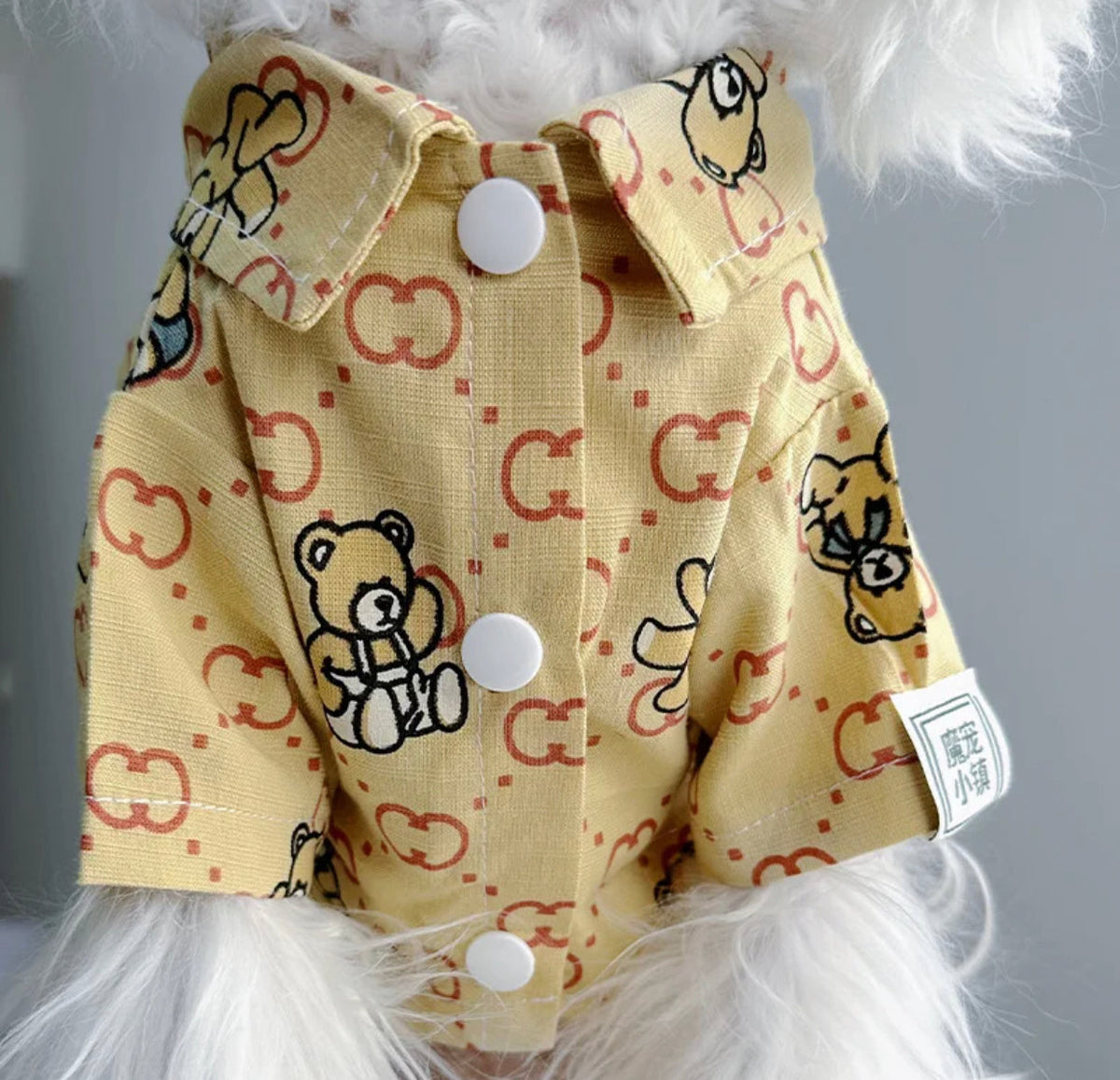 T-shirt pour chien Gigi Bear | T-shirt pour chien