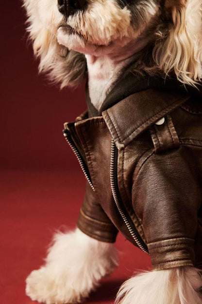 Lenny Dog Jacket | Dog Jacket for Cold Weather