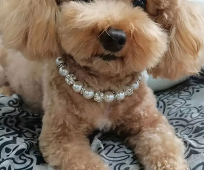 Collier Couture pour Chien