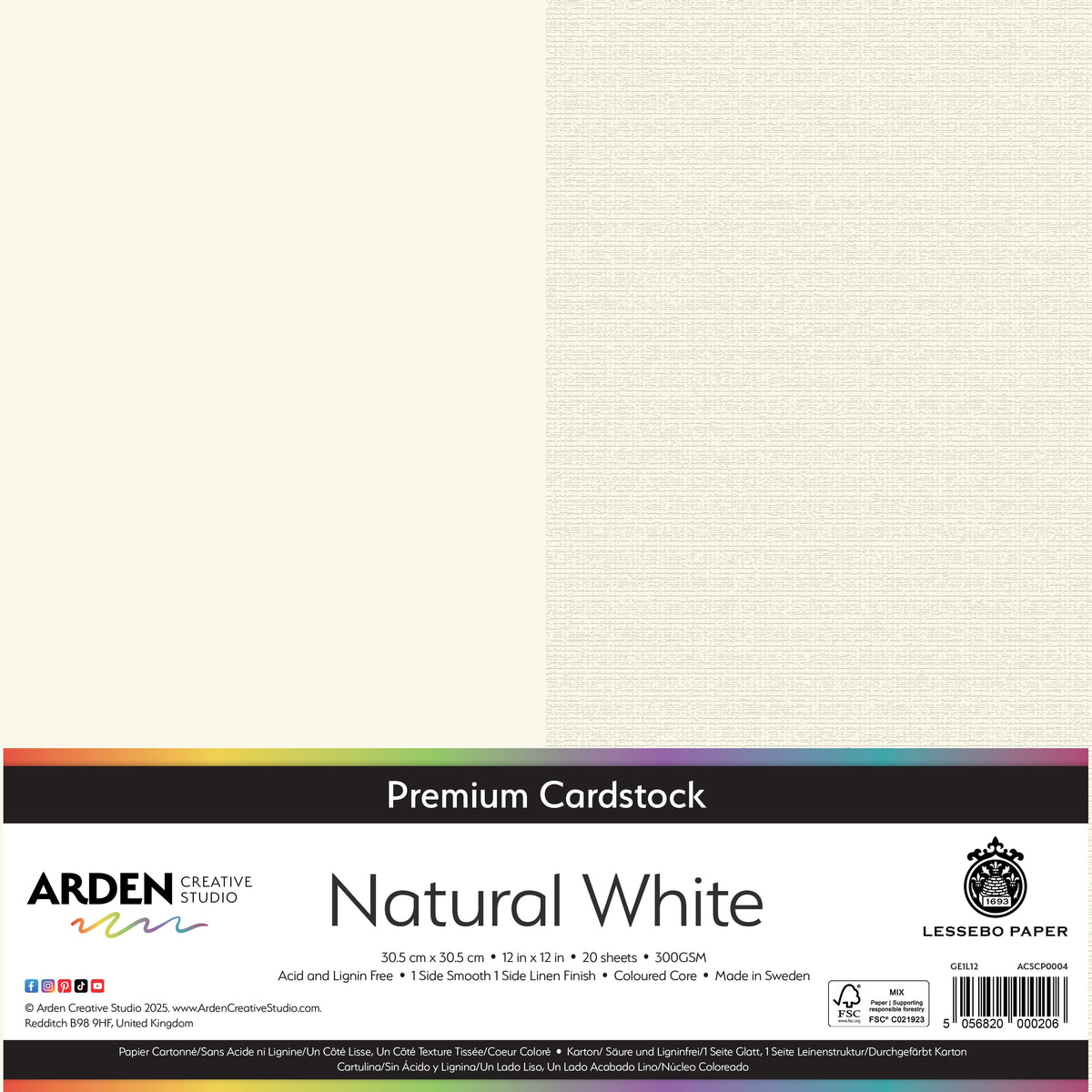Arden Creative Studio Premium Cardstock 12in x 12in 300gsm 20 Pack