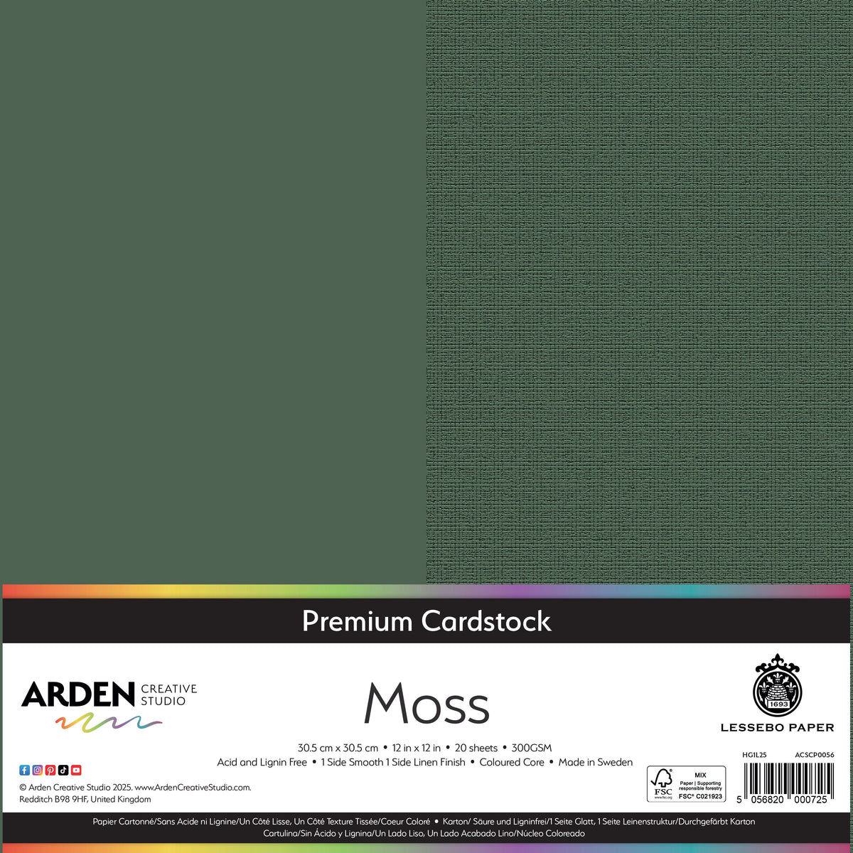 Arden Creative Studio Premium Cardstock 12in x 12in 300gsm 20 Pack