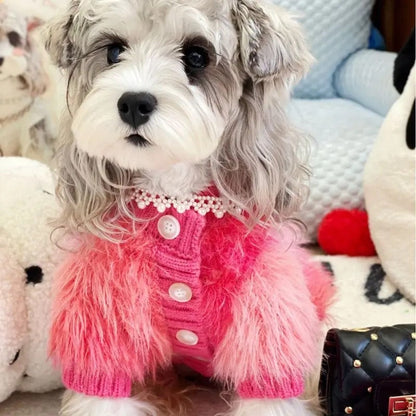 Pull pour chien | Pull pour chien « Je suis fabuleux »