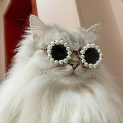 Lunettes de soleil nacrées pour chien | Lunettes de soleil pour animaux de compagnie