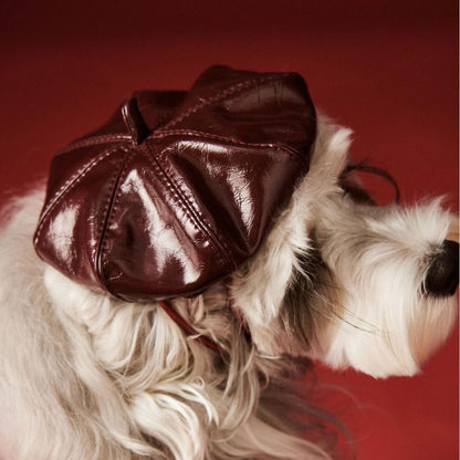 Monsieur Chapeau Chien | Béret Chien