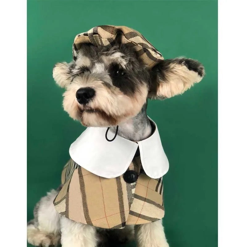 Ensemble Cape et Chapeau pour Chien | Tenue Signature Brrbrry