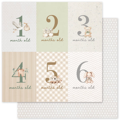 Boho Baby Basics 12x12 Paper Collection 35101