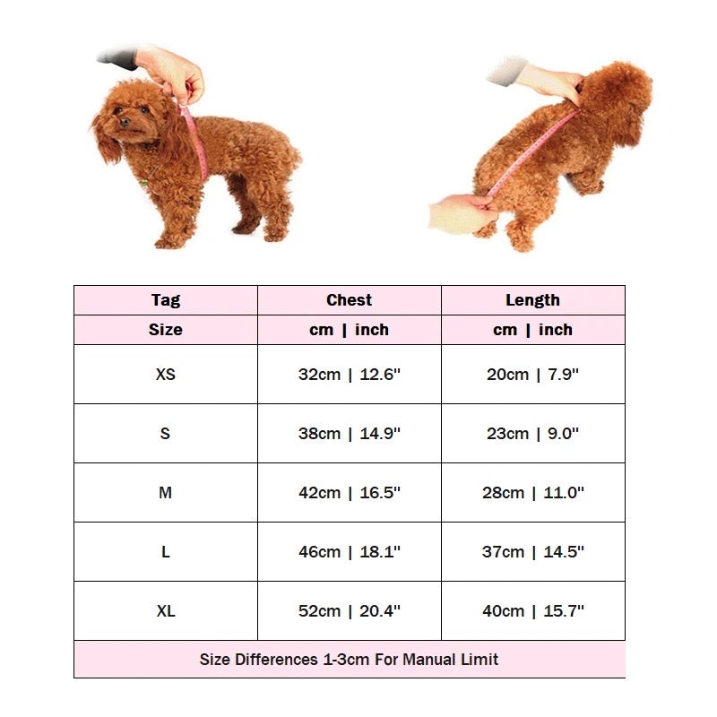 Robe tutu Coco Fashion pour chien