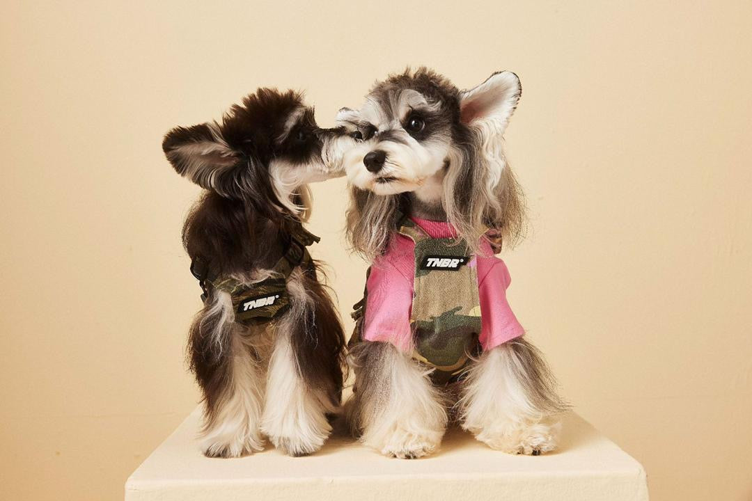 Gilet pour chien d'automne | Gilet pour chien par temps frais