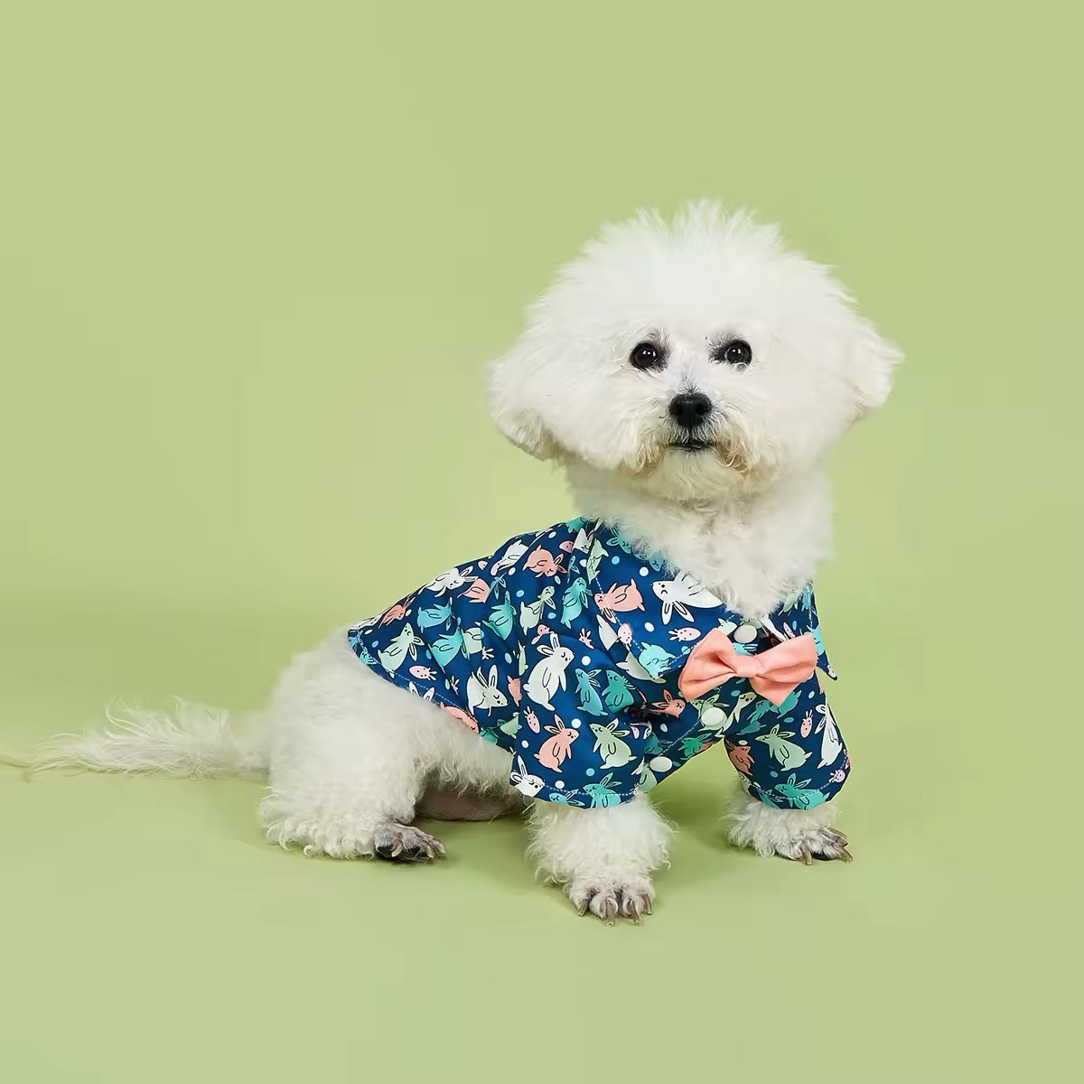 Chemise de Pâques pour chien – Chemise festive de luxe pour chien