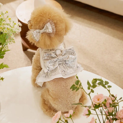 Ensemble Harnais Chien Décompte de Minuit | Harnais de Fête avec Nœud Papillon