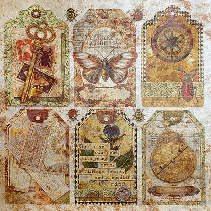 Deluxe Cabinet Of Curiosities Paper Pearl-Copper  6"x6" 5/Pkg