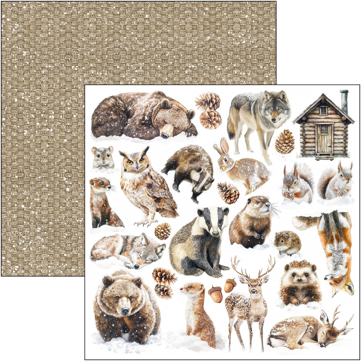 Bloc de Motifs Contes de la Forêt 30x30cm 8 feuilles/paquet