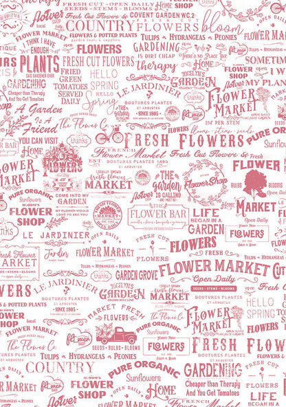 Vellum Flower Shop Paper Patterns A4 6/Pkg
