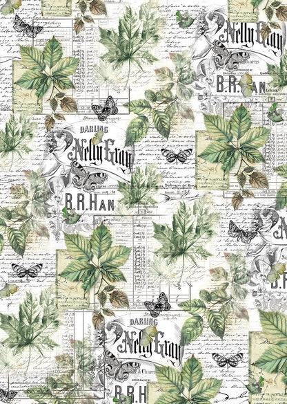Vellum Cabinet Of Curiosities Paper Patterns A4 6/Pkg