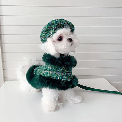 Ensemble Harnais, Chapeau et Laisse pour chien en Tweed Héritage Evergreen