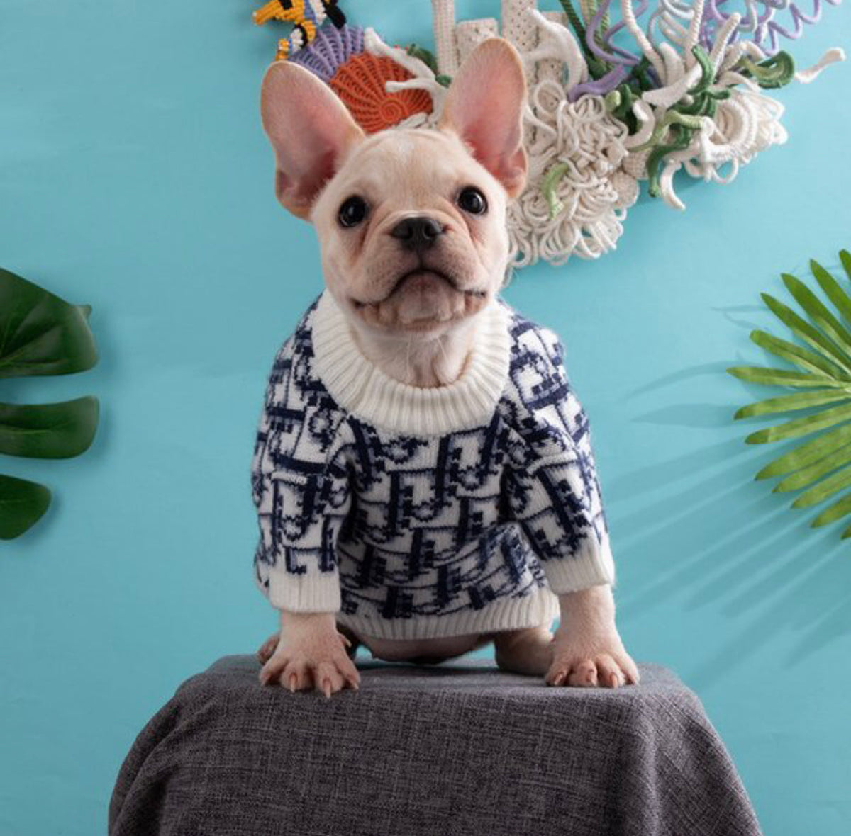 Pull classique en tricot pour chien Deorel | Haut pull-over