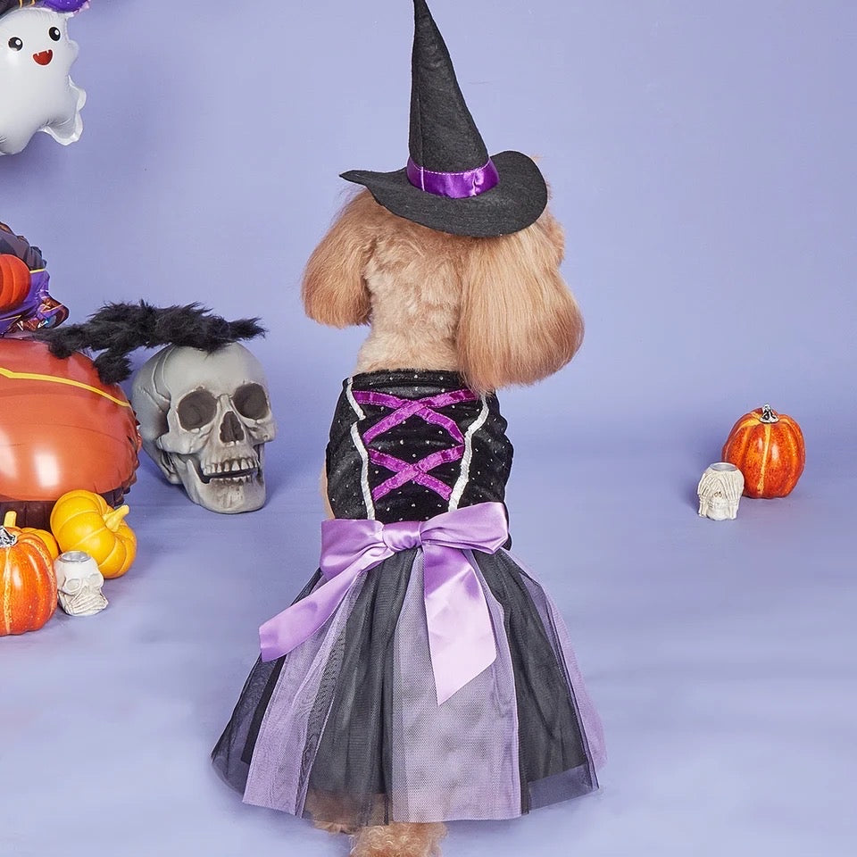 Robe de chien chapeau de sorcière | Costume d'Halloween