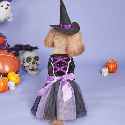 Robe de chien chapeau de sorcière | Costume d'Halloween