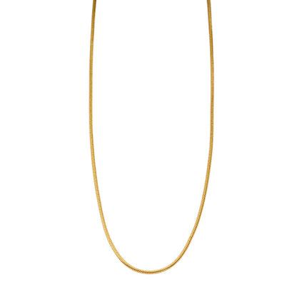 CHASTITY: Dainty Snake Skin Textured Gold Chain Necklace