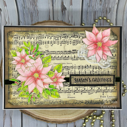 Creative Expressions Jane's Doodles Poinsettia Lot de tampons transparents 6 po x 8 po