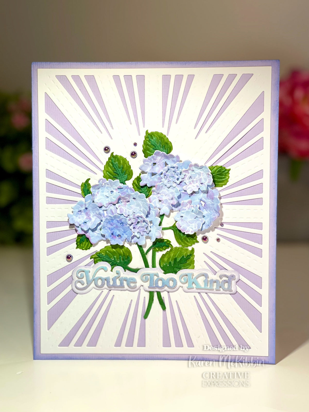 Matrices de découpe Sue Wilson Mini Shadowed Sentiments You're Too Kind Creative Expressions