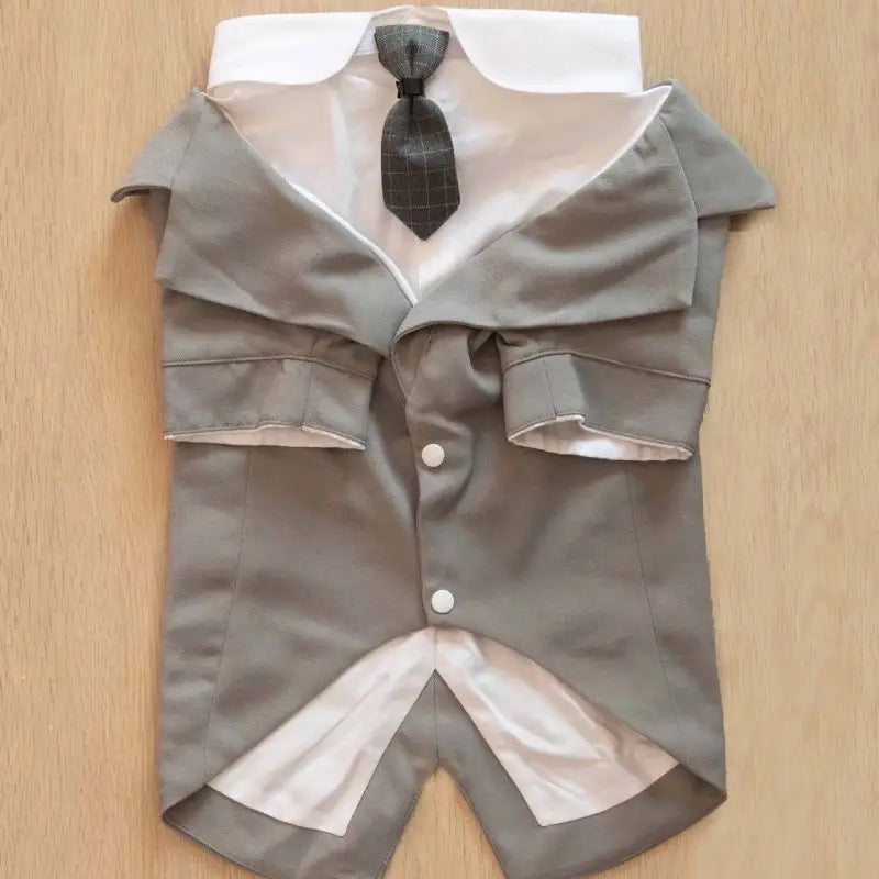 Smoking de mariage pour chien | Tenue de cérémonie