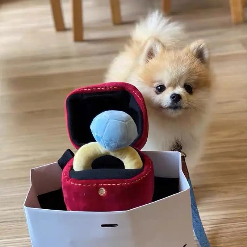Jouet pour chien | Jouet pour chien boîte à bague Cartiarf