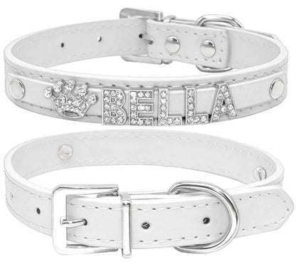 Collier pour chien Heirloom Name | Collier pour chien personnalisé