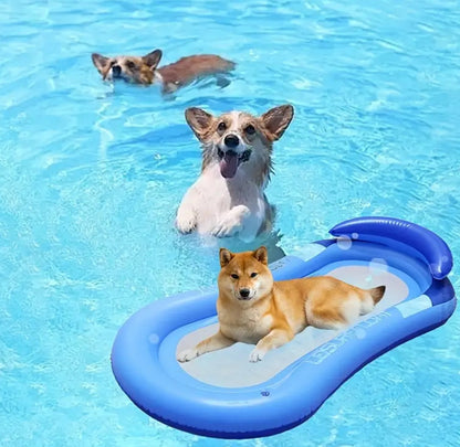 Bouée de piscine pour chien | Flotteur pour chien