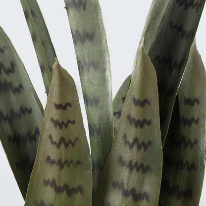 Dezi Artificial Snake Sansevieria Dark Green Potted Plant 21''