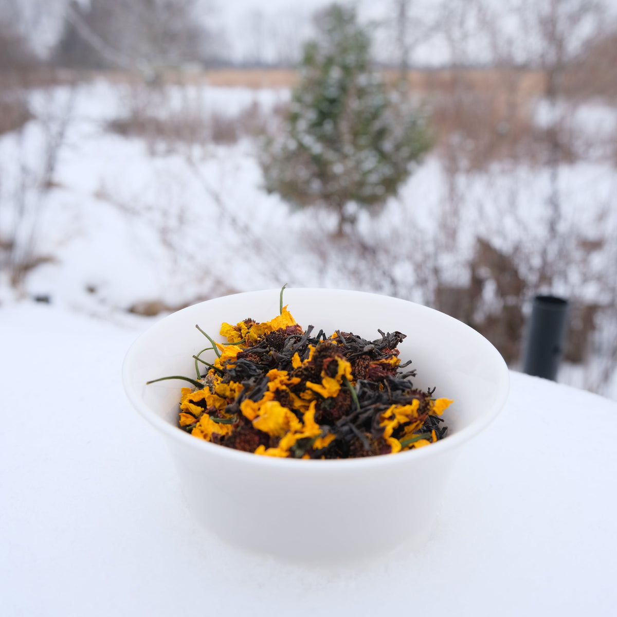 THÉ AU CHRYSANTHÈME DES NEIGES
