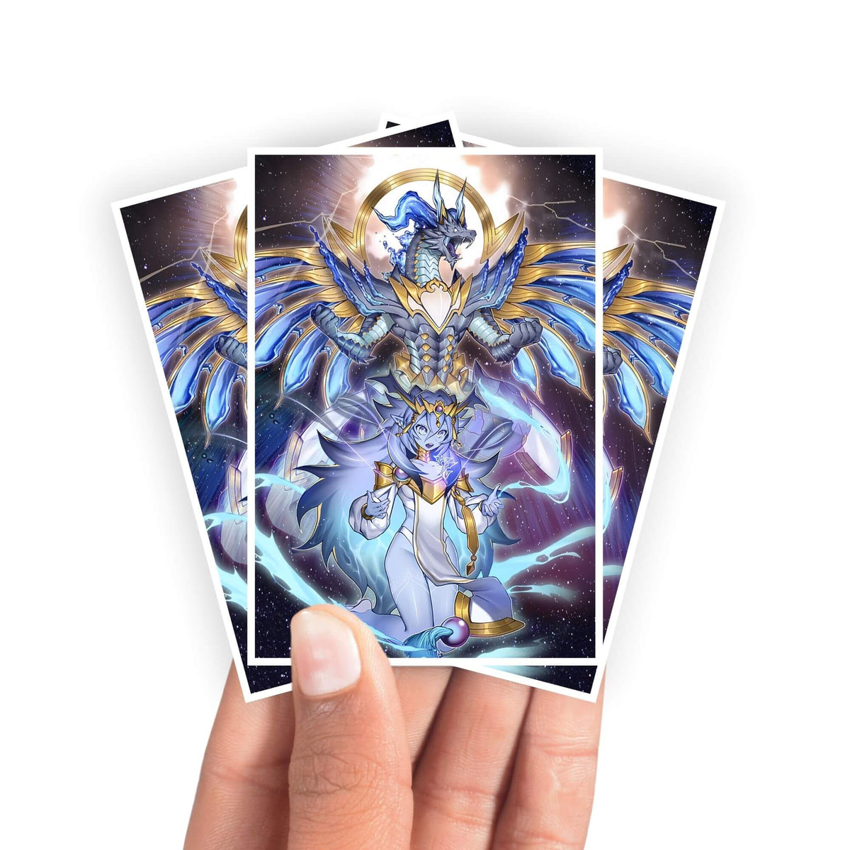 Protège-cartes Dominus Impulse