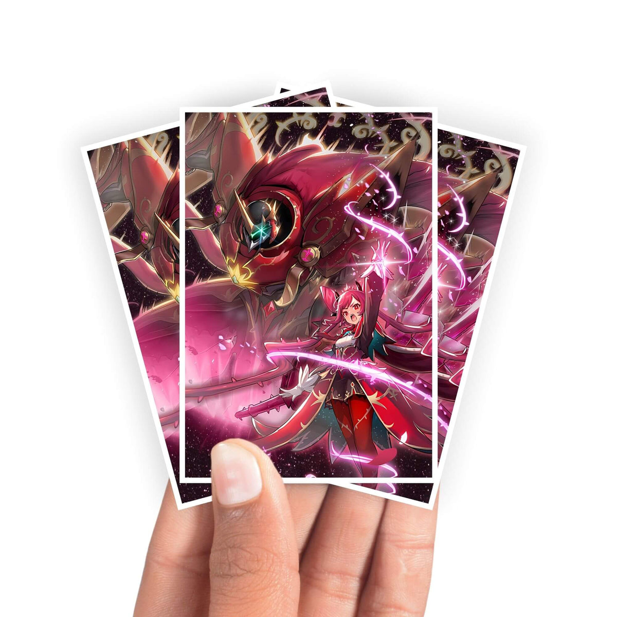 Protège-cartes Dominus Purge