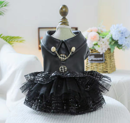 She’s a Rockstar Dog Dress | Dog Dress for Special Occasions