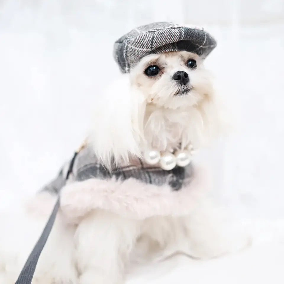 Ensemble Harnais, Chapeau et Laisse pour chien Peaky Street Tweed